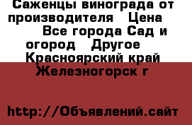 Саженцы винограда от производителя › Цена ­ 800 - Все города Сад и огород » Другое   . Красноярский край,Железногорск г.